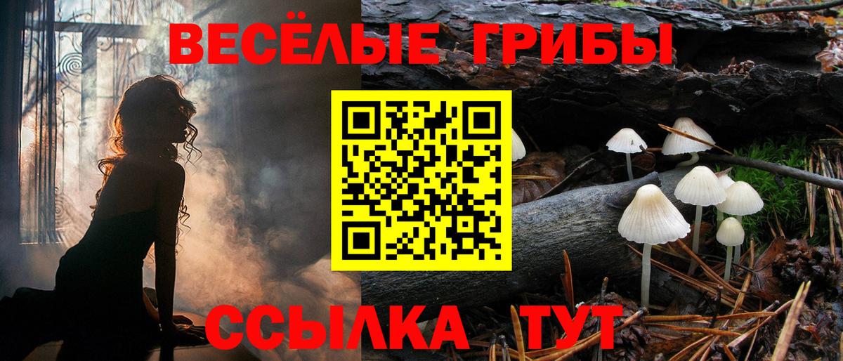 Галлюциногенные грибы Psilocybe  Вход с VPN  Красноперекопск 
