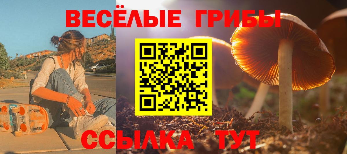 Галлюциногенные грибы мицелий Красноперекопск